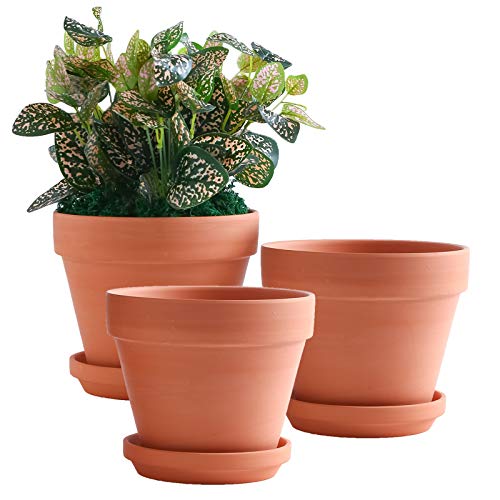 Yishang 8 Inch Clay Pot for Plant with Saucer - 3 Pack Large Terra Cotta Plant Pot with Drainage...