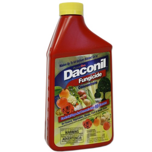 Daconil® Fungicide Concentrate for Insects 16 oz. - 100523634