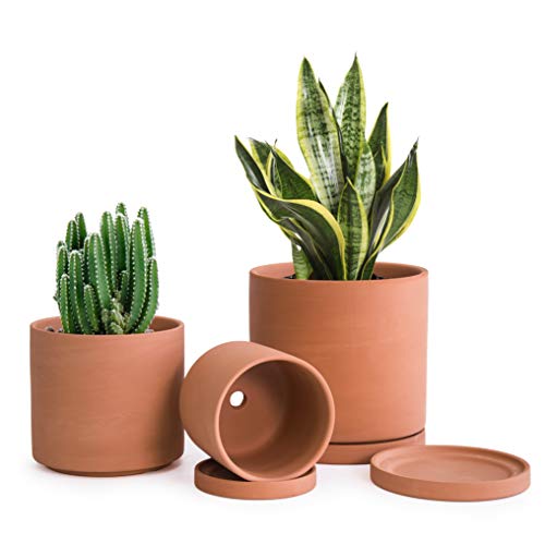 D'vine Dev Terracotta Pots for Plants, 4.2 Inch 5.3 Inch 6.5 Inch, Succulent Planter Pot with...