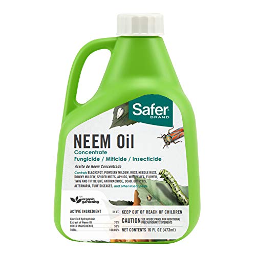 Safer Brand 5182-6 Neem Oil Concentrate Insecticide, Miticide, Fungicide for Plants - Kills Insects...