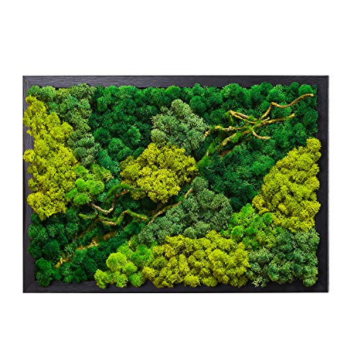 LVZHIHUAN Moss Wall decor Real Preserved Moss No Maintenance Required Eco Natural Green Wall Art...