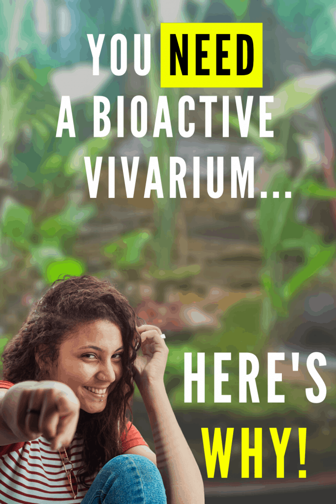 Why You Need A Bioactive Vivarium