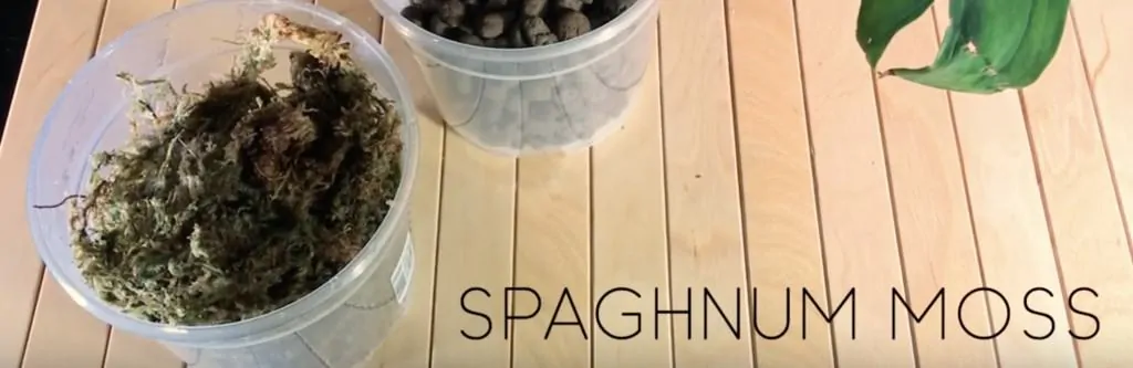 Spaghnum Moss retains water well