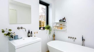 The Best Plants for your Bathroom