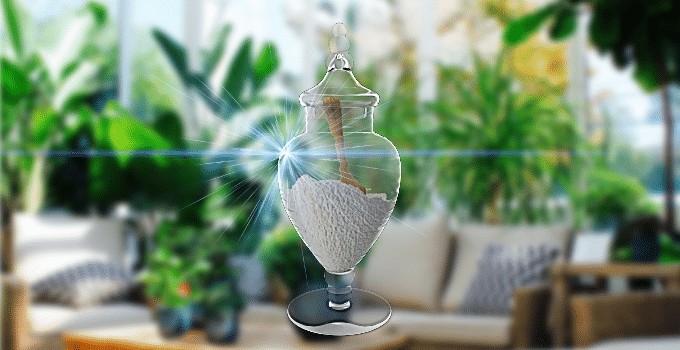Epsom Salt as a Miracle Cure for Houseplants