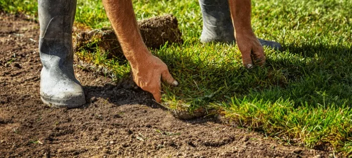 Lawn Care Basics - 5 Easiest Tips for a Remarkable Lawn 1