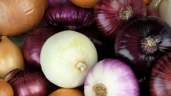 How to Grow Onions: Harvesting