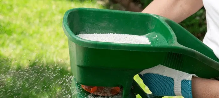Make sure you use the right fertilizer for your lawn