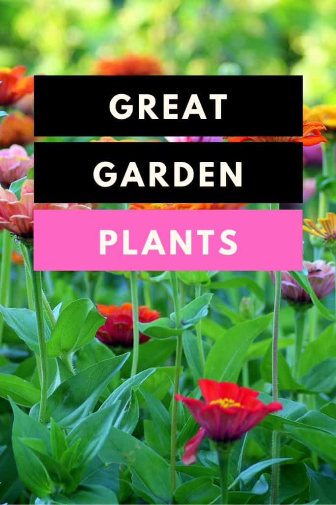 Great Garden Plants -Gardening Guide