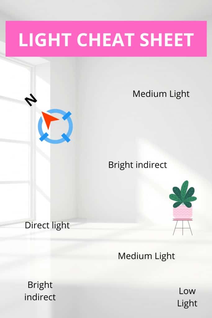 Light Levels For Plants Cheat Sheet
