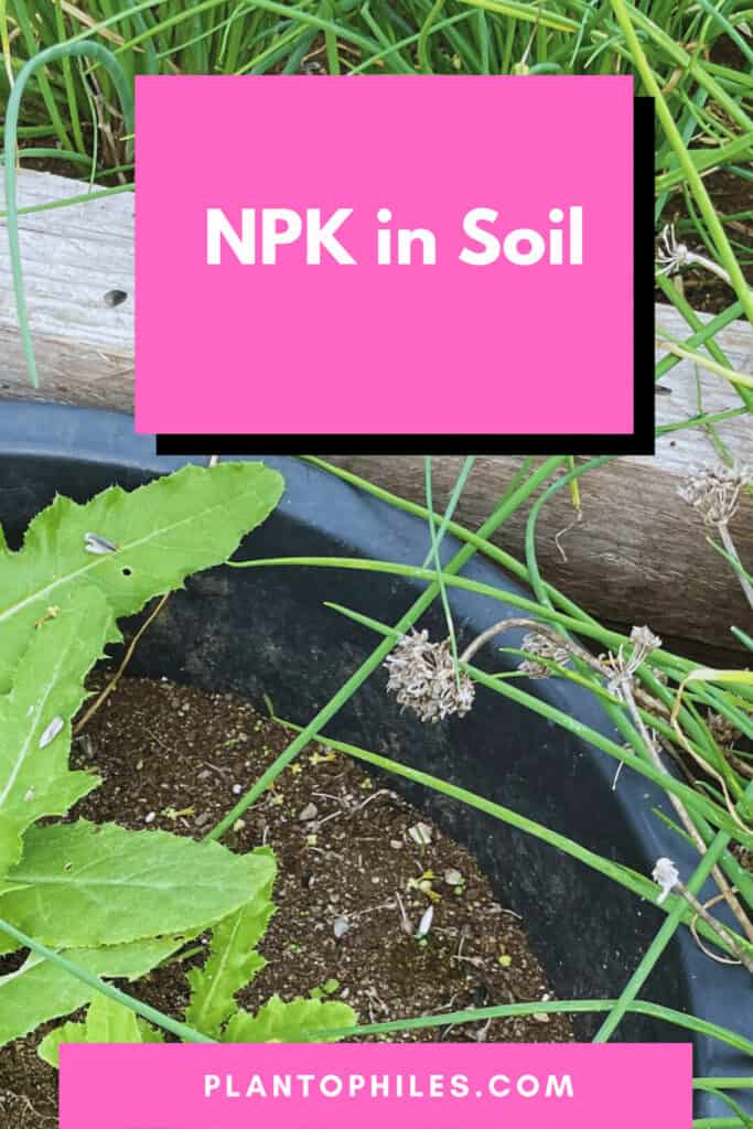 NPK in Soil