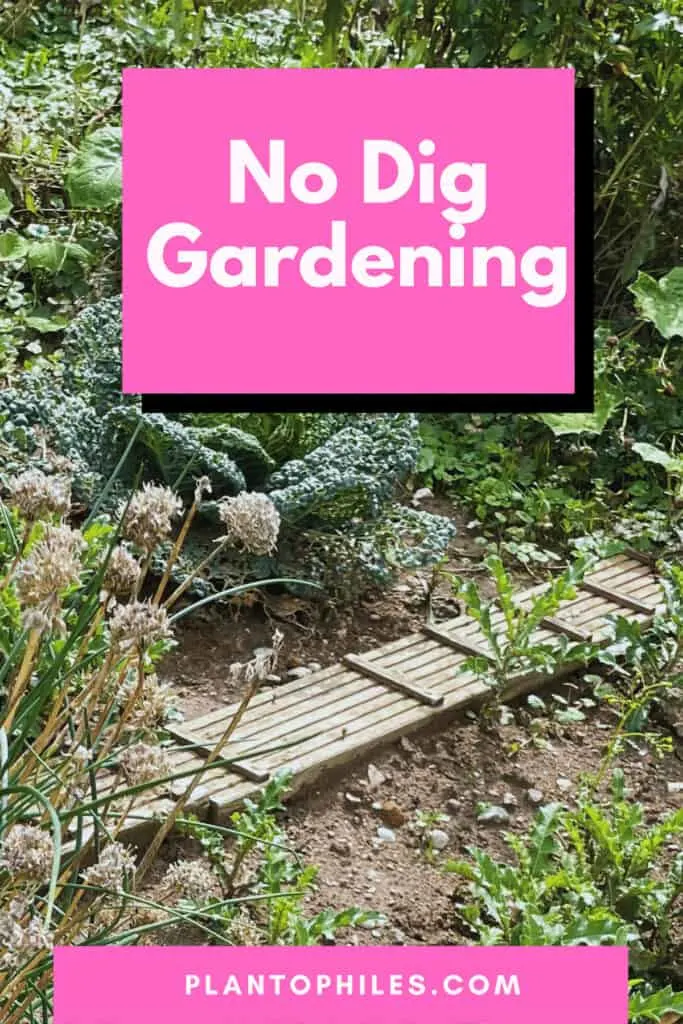 No Dig Gardening