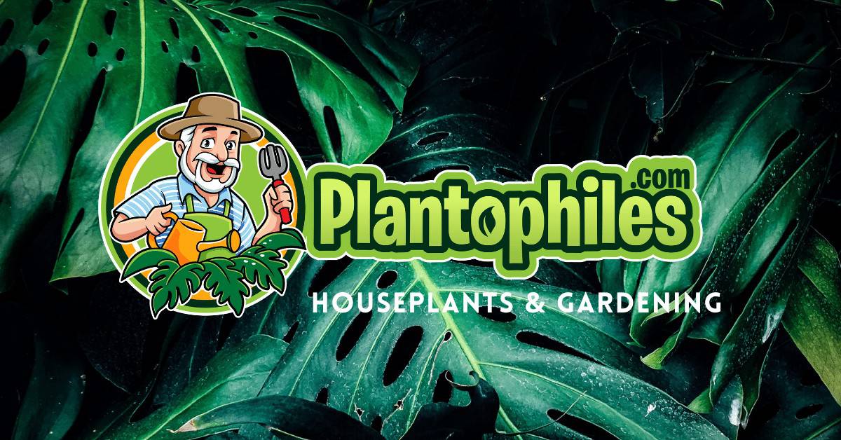 Plantophiles.com Houseplants & Gardening Blog