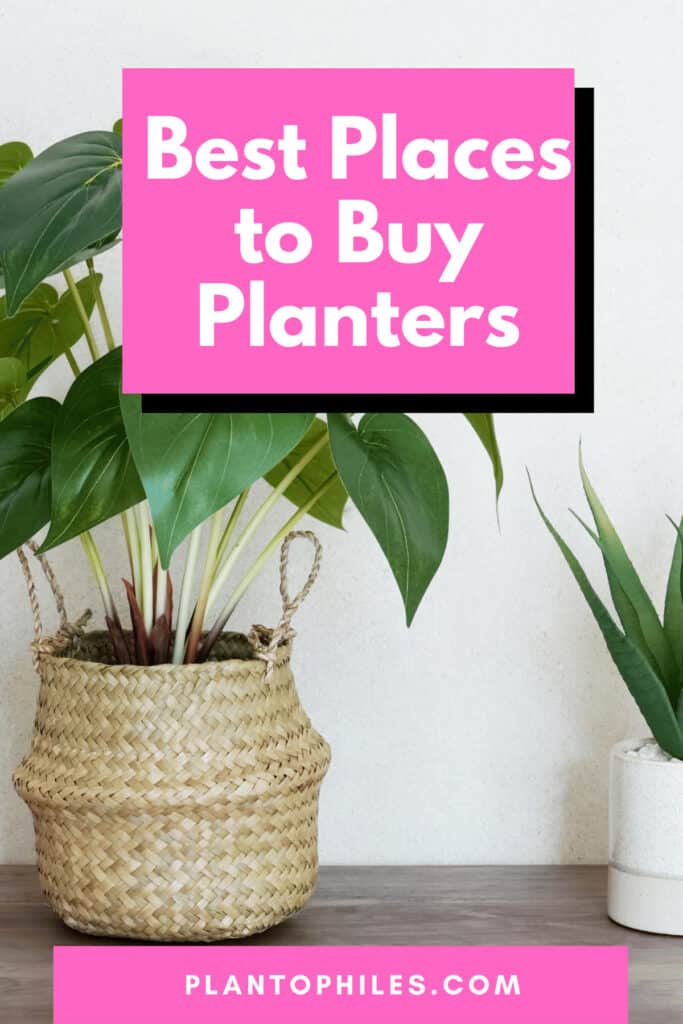 Best Places to Buy Planters