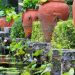 Plants In Terracotta Pots