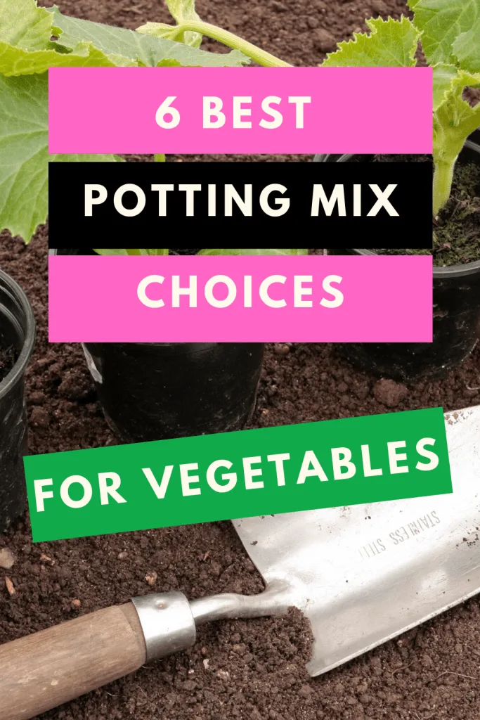 Best Potting Mix For Vegetables The 6 Winners - Best Compost For Vegetable Garden