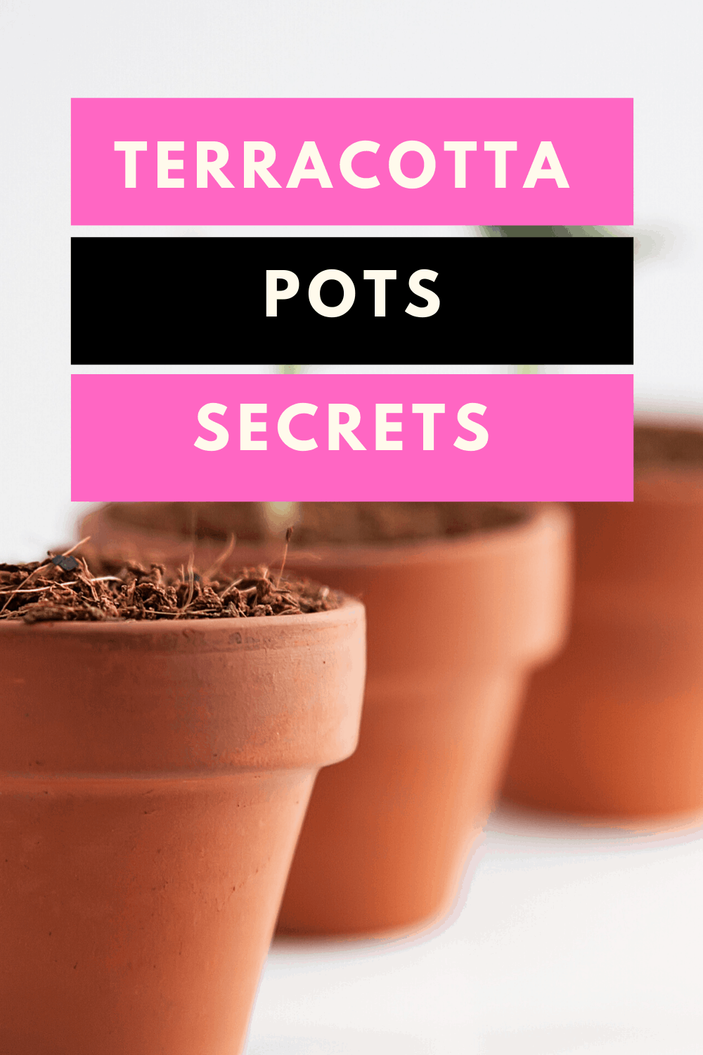 Terracotta Pots Secrets