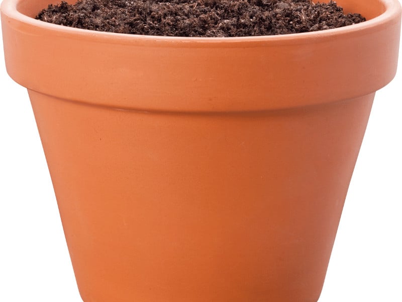 Terracotta is porous and helps plants to breathe