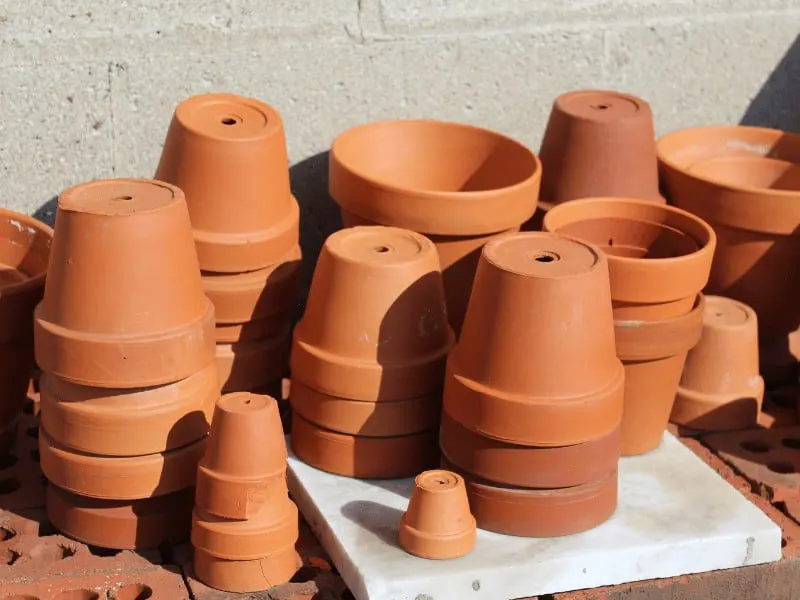 Terracotta pots for houseplants and gardening
