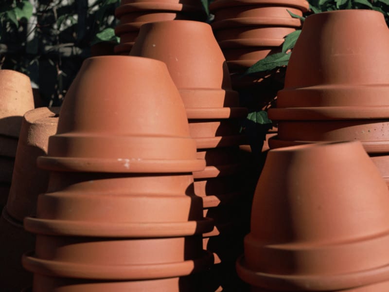 You can Buy Terracotta Pots Online