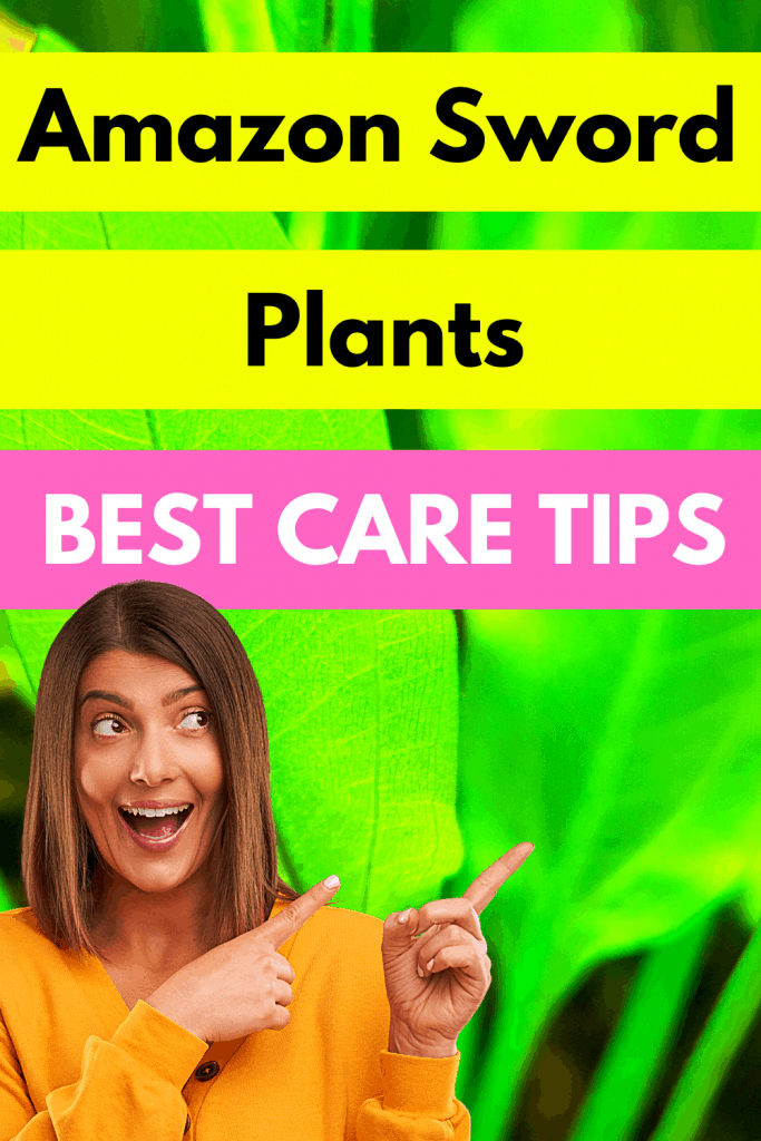 Amazon Sword Plant Best Care Tips