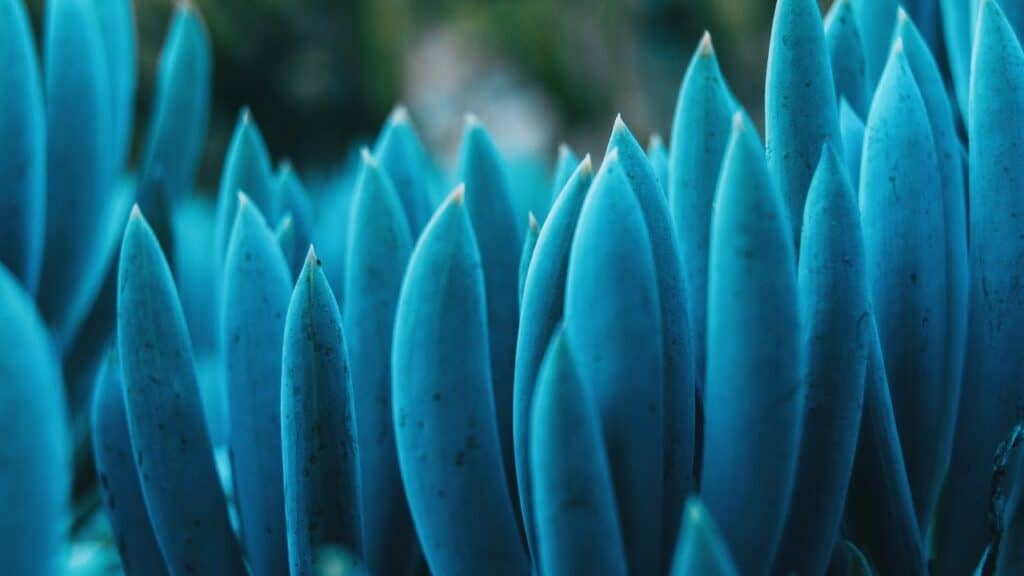 Blue Chalksticks