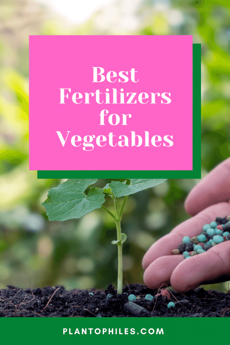 Best Fertilizers for Vegetables