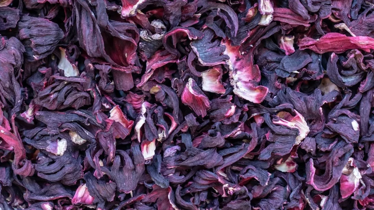 How to Dry Hibiscus Flowers — 3 Best Ways 1