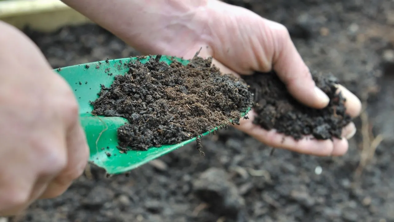 Ideal Soil to Compost Ratio - Gardening with Black Gold Simplified 10