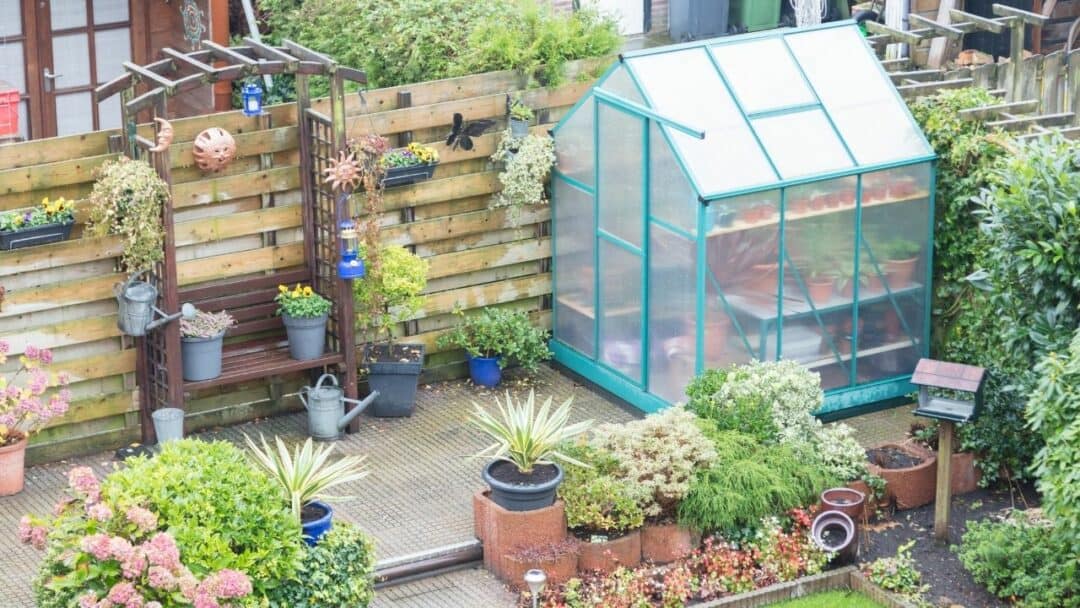 6 Best Small Greenhouses For Growing Your Favorite Plants