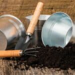 Best Potting Soil for Houseplants