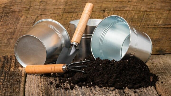 Best Potting Soil for Houseplants — The 11 Winners!