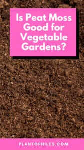 Is Peat Moss Good for Vegetable Gardens? Here is the Answer!