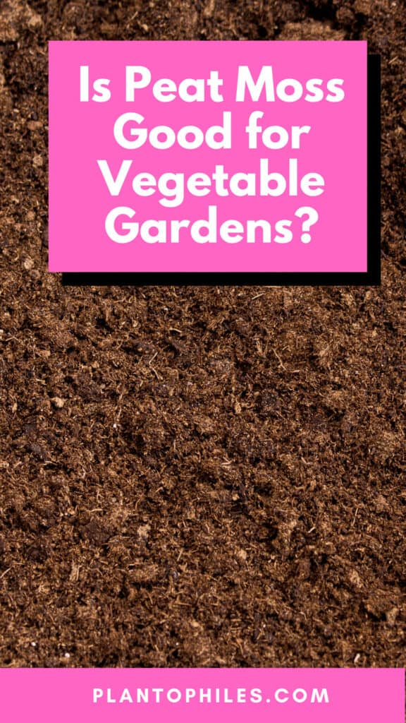 Is Peat Moss Good for Vegetable Gardens?