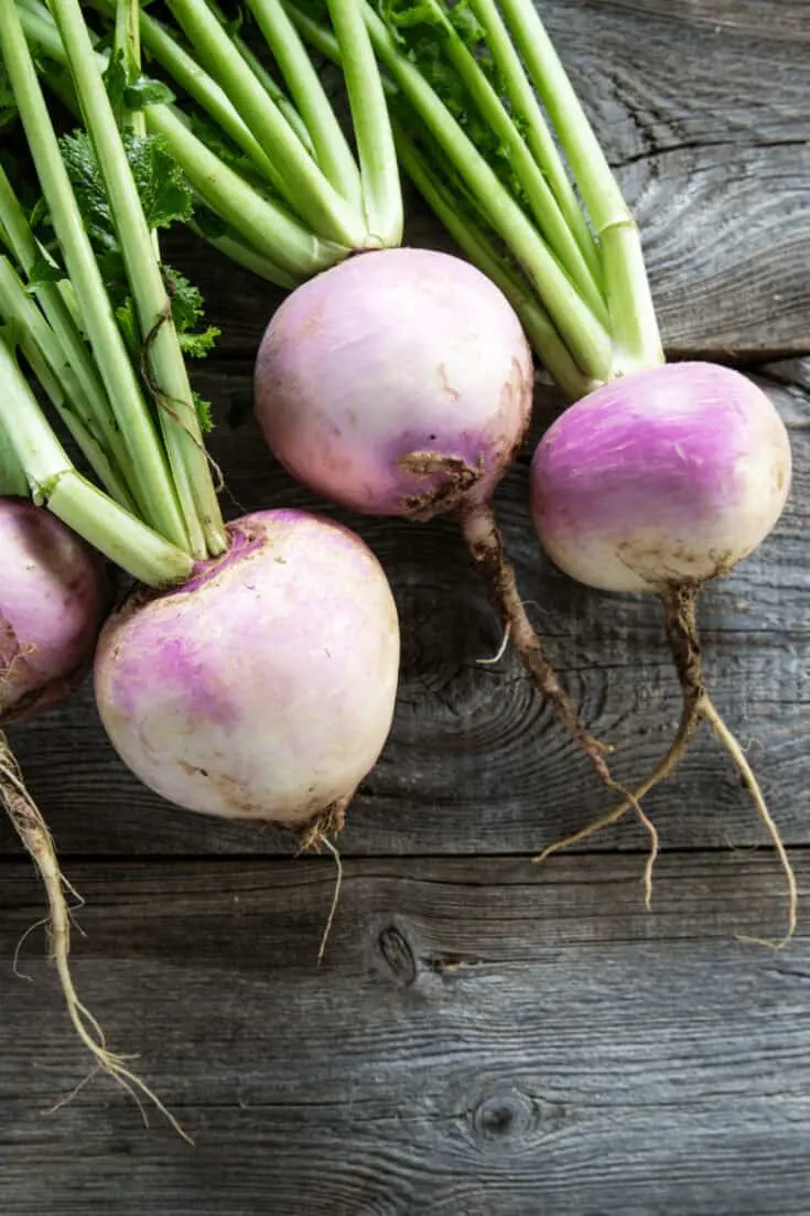May is the last option to plant turnips in many regions just before the summer heat