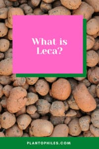 What is Leca