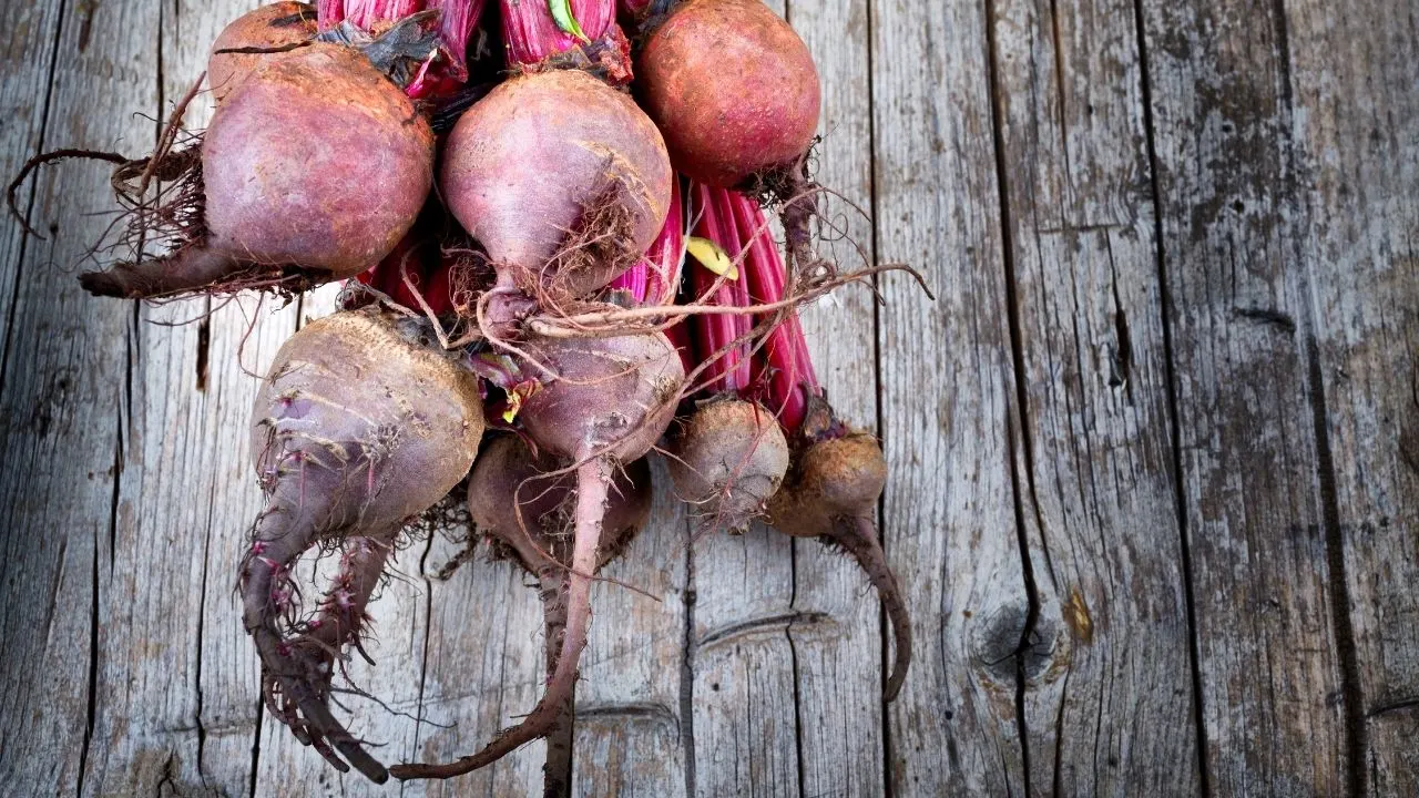 11 Best Underground Vegetables — The Ultimate Guide 1