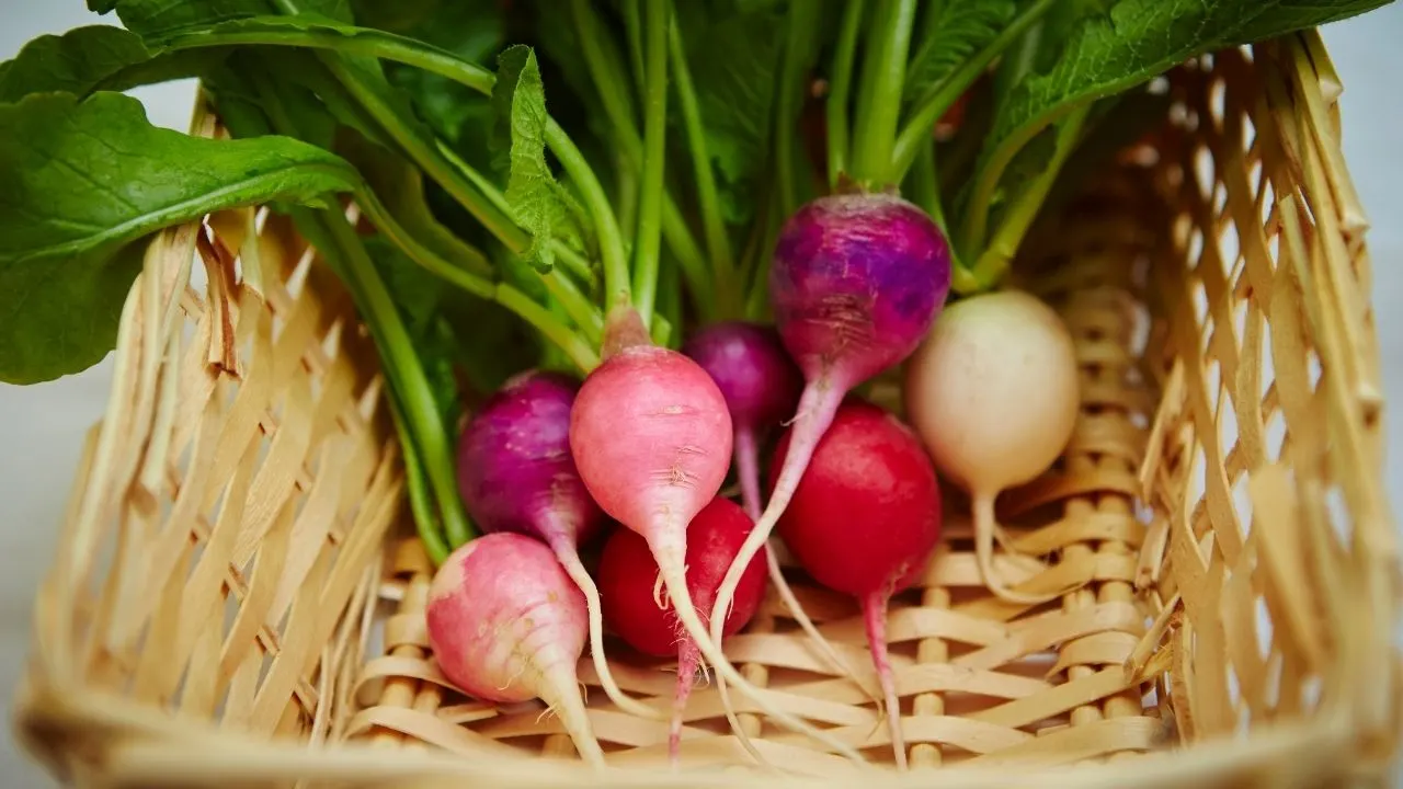 11 Best Underground Vegetables — The Ultimate Guide 11