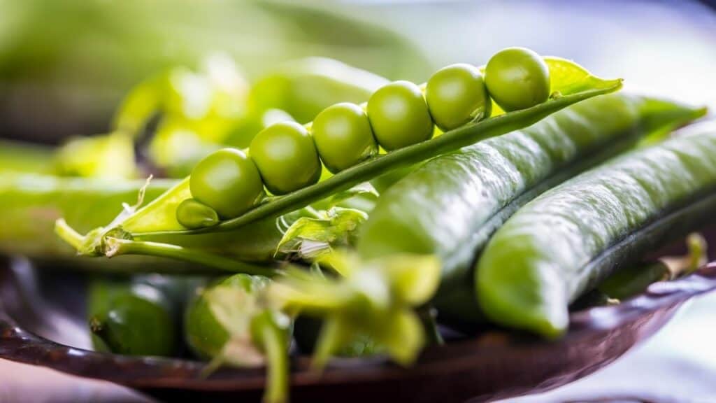 15 Best Vegetables for Hydroponics