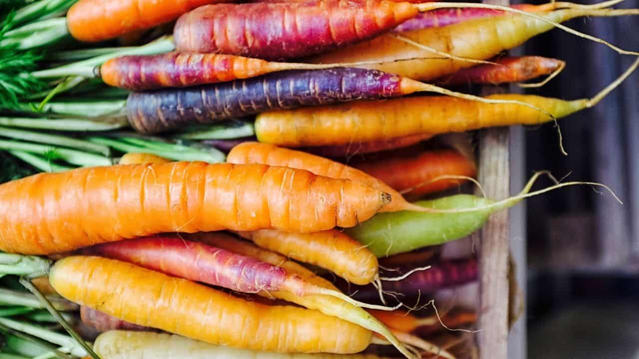 11 Best Underground Vegetables — The Ultimate Guide 2