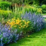 15 Best Plants for West Facing Gardens – Best Guide [2022] 1