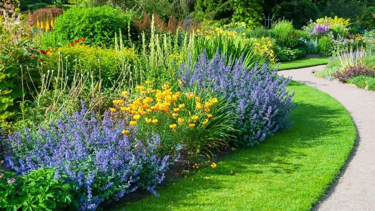 15 Best Plants for West Facing Gardens – Best Guide [2023] 6