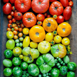 A study revealed that applying a bit of sea salt once when watering had a positive impact on the taste of the tomatoes