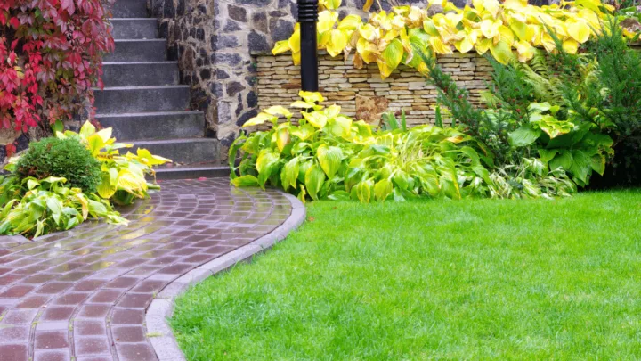 8 Best Fertilizers For Grass &ndash; A Buyers Guide
