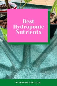 Best Hydroponic Nutrients