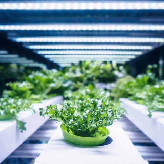 Best Hydroponic Nutrients - A Buyers Guide 2022