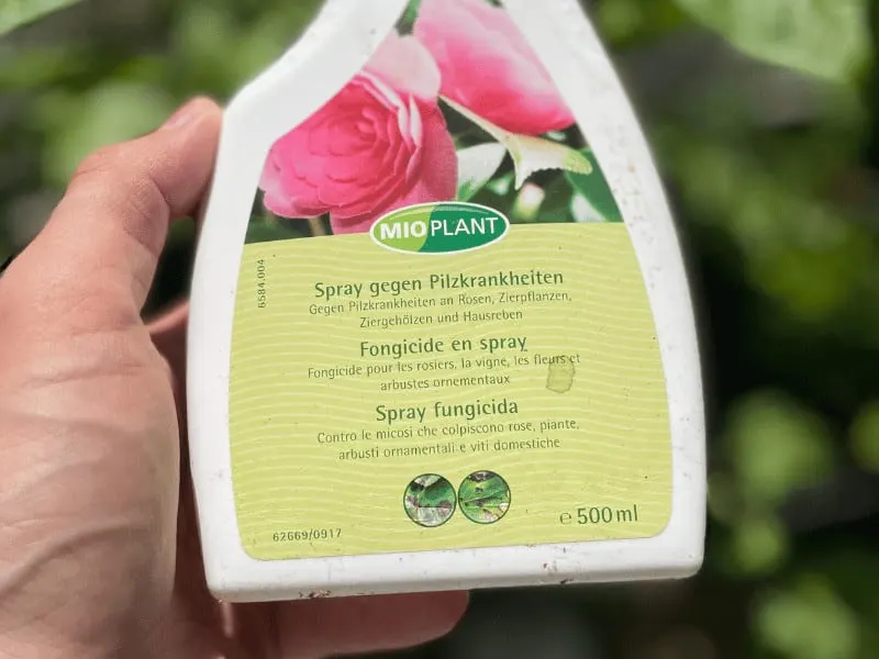 Fungicides help to treat septoria leaf spot