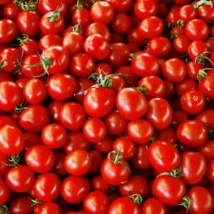 Tasty Tomatoes