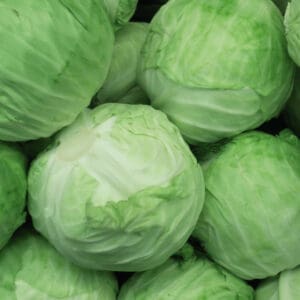 Bigger cabbage heads are produced with more spacing between plants and the right nutrients at each stage
