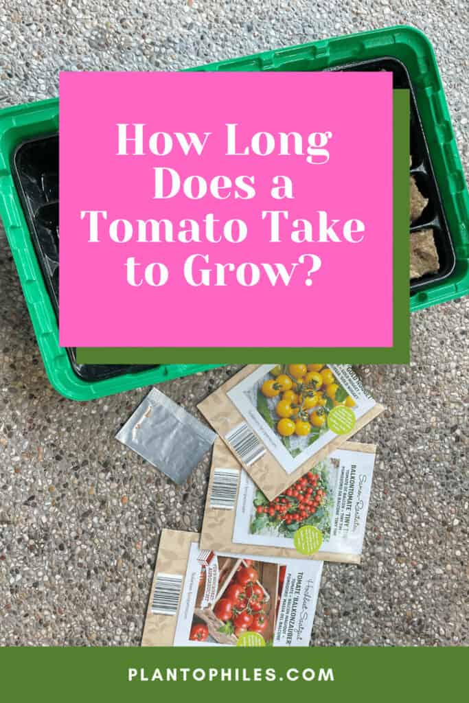 How Long Does a Tomato Take to Grow?